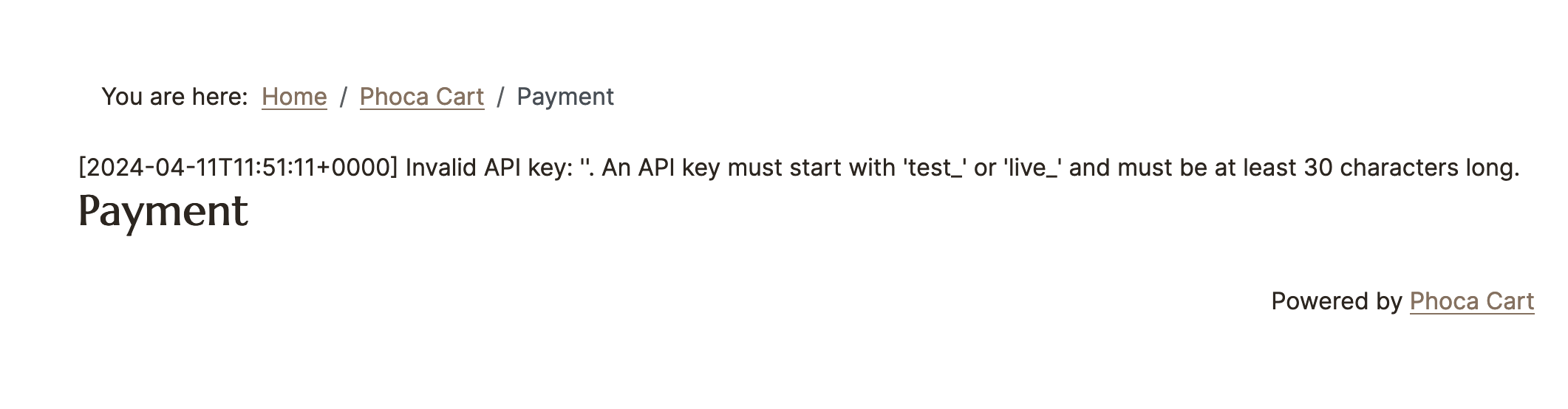 Invalid API key
