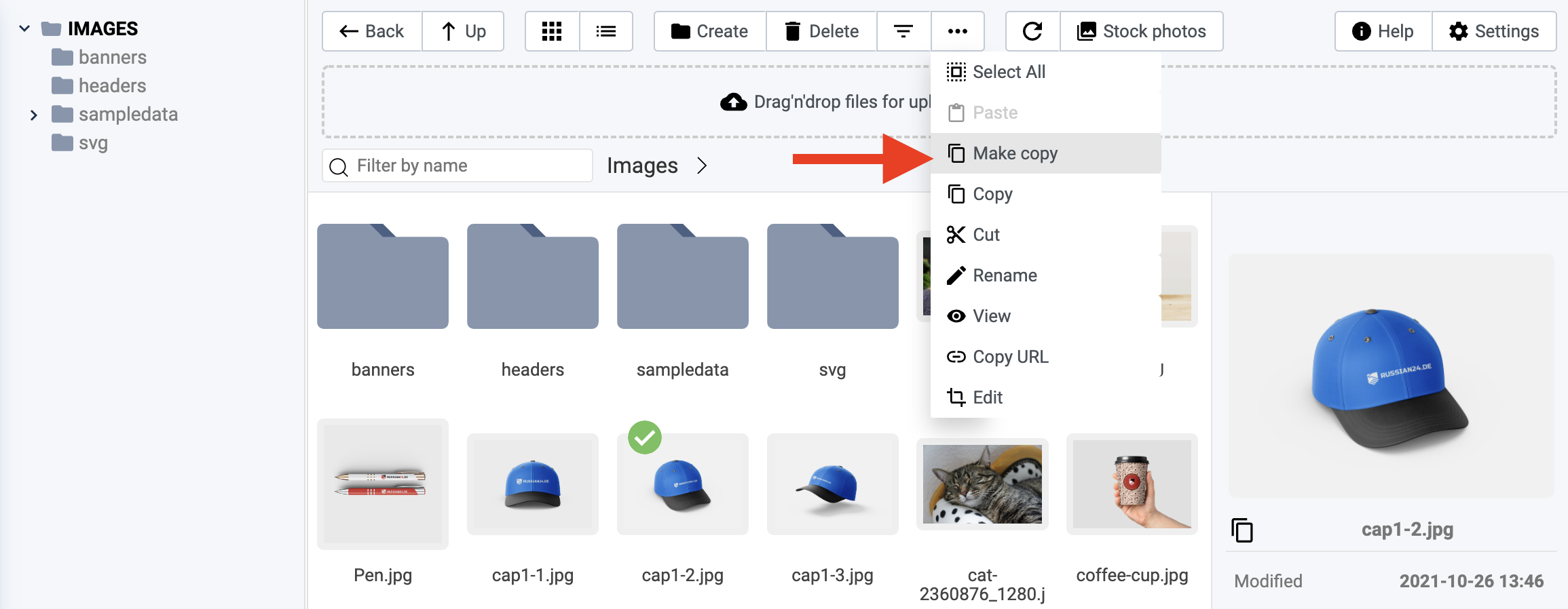 Make a copy of the file option