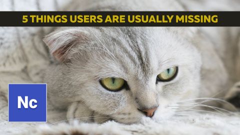 5 Things Users are Usually Missing in NorrCompetition